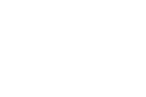 MHP