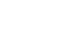 Vioil